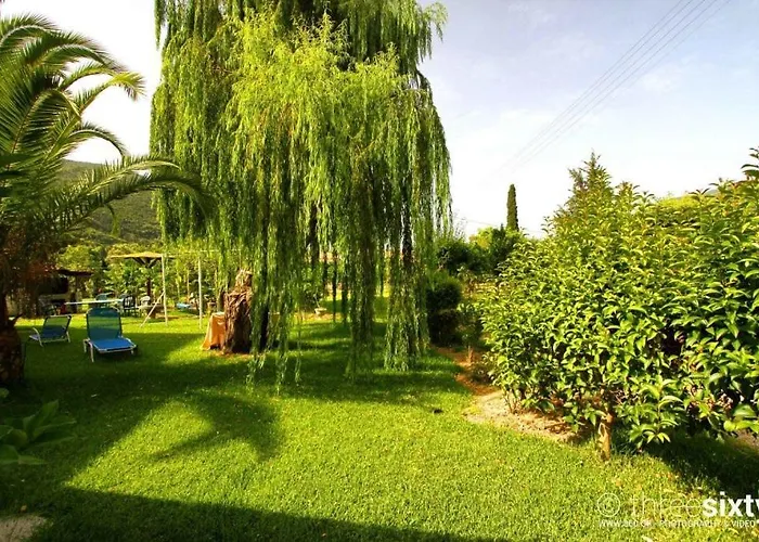 Orange 3* فاسيليكي